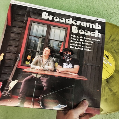 Breadcrumb Beach (LP, Plan 9 Trash Records, 2018)